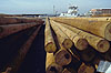 Logs ready for shipment - Port of Pensacola, FL - 